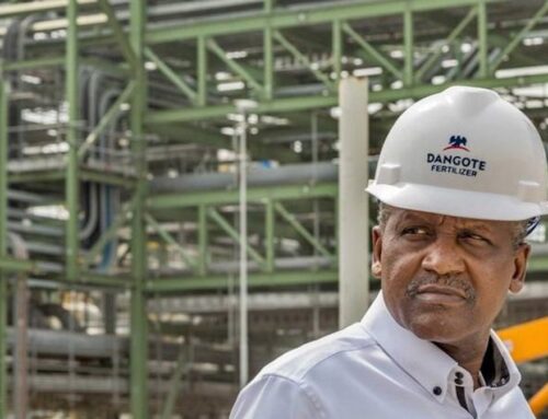 Dangote Fertiliser begins pre-testing of granulated urea plant